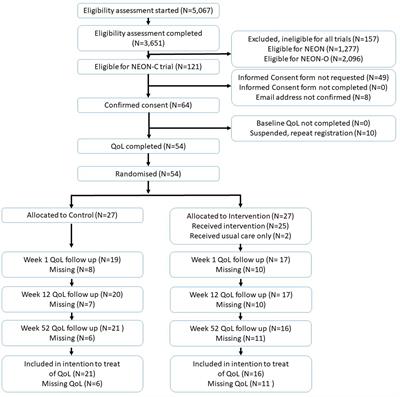 Pragmatic, feasibility randomized controlled trial of a recorded mental health recovery narrative intervention: narrative experiences online intervention for informal carers (NEON-C)